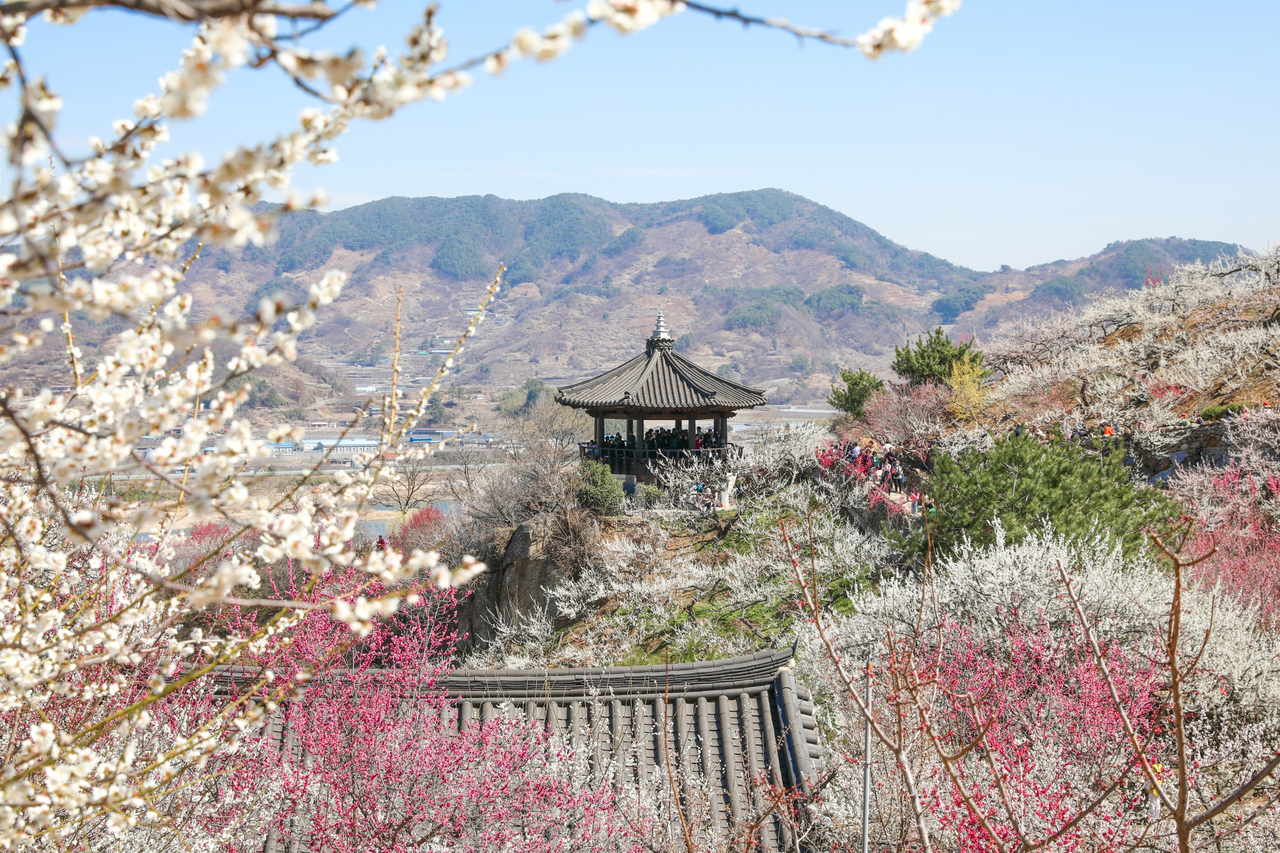 (Gwangyang City)